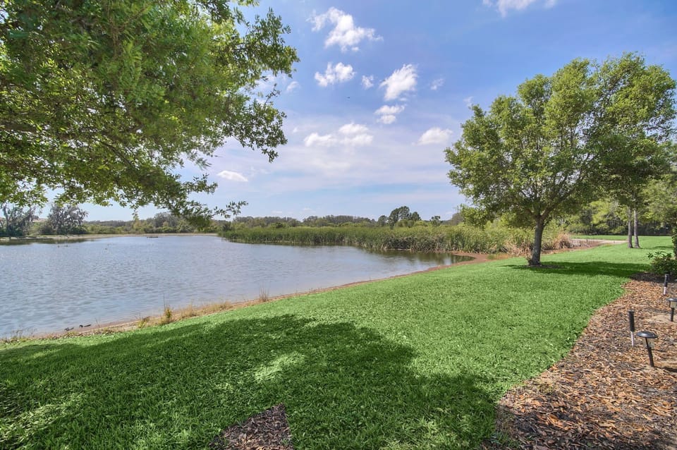 Beautiful lake behind our home