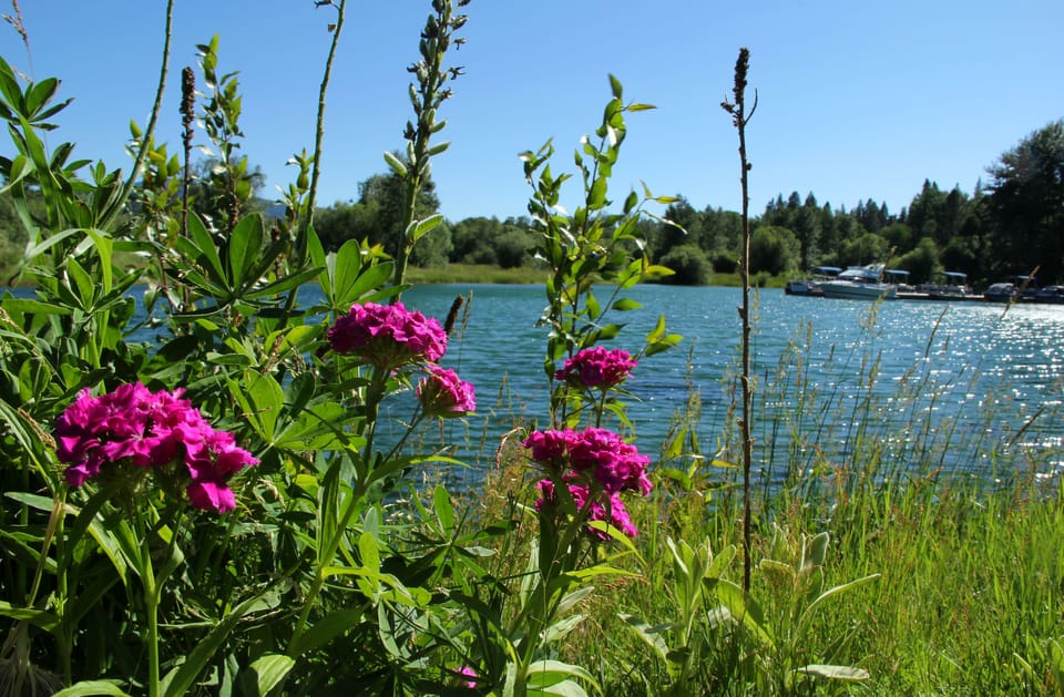 The air is mountain clear and clean as is the water shimmering with sun stars.