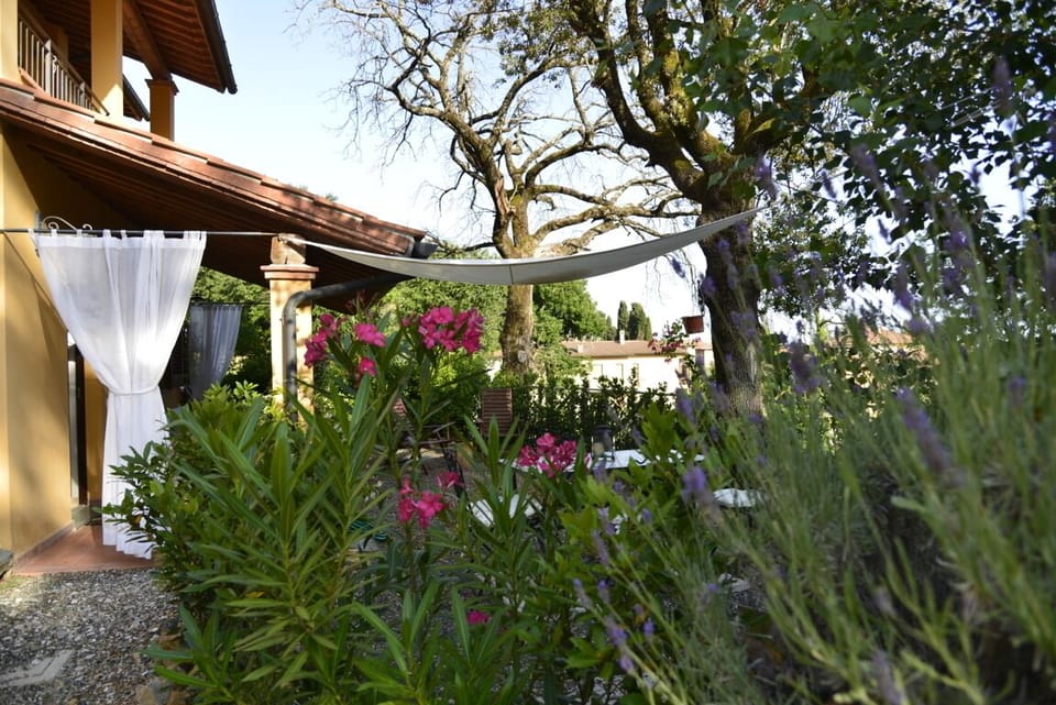Scents and colours of Tuscany alla around
