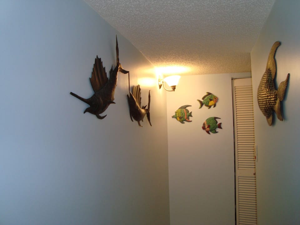 Fish everywhere!
