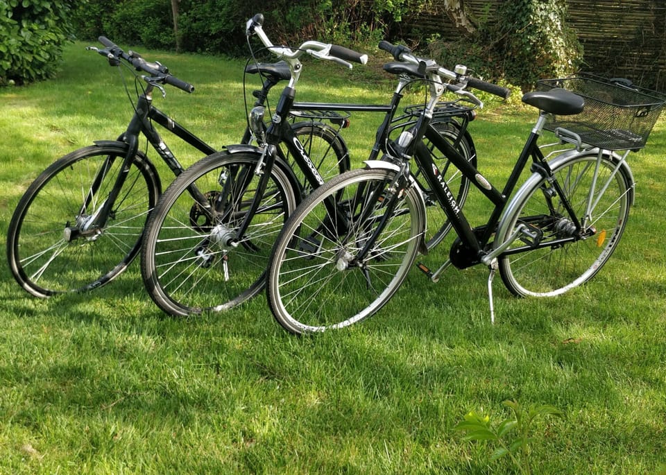 You can use these bikes