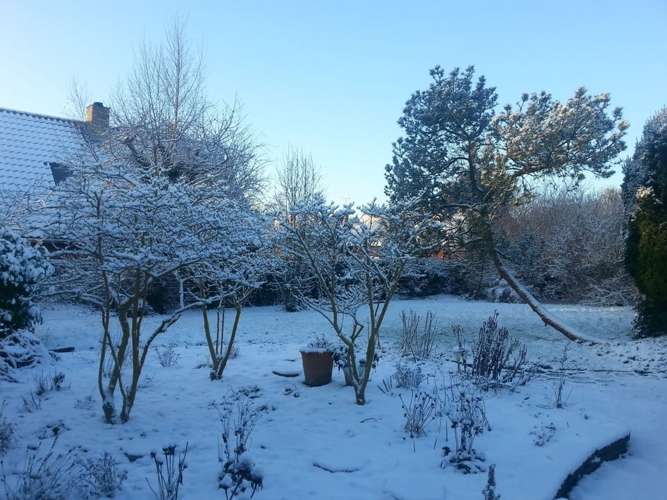 Winter garden in front of the apartment 