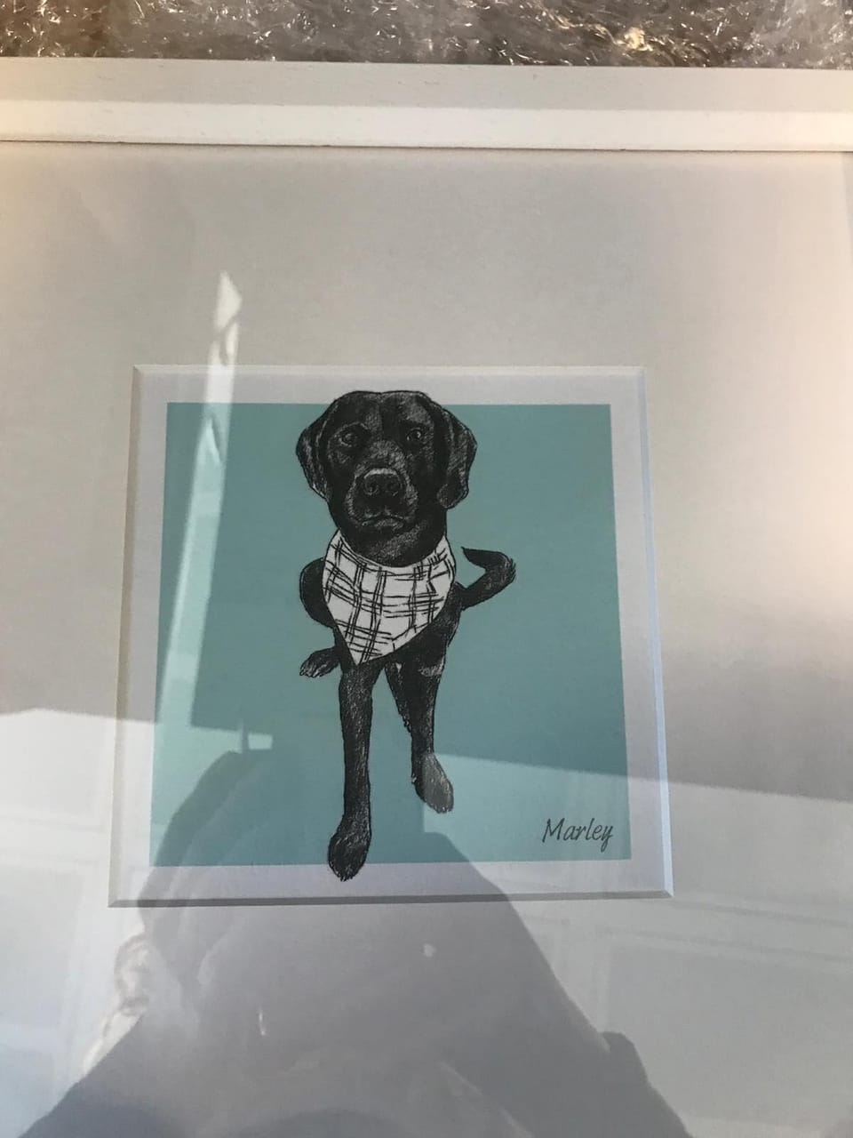 We welcome well behaved dogs .