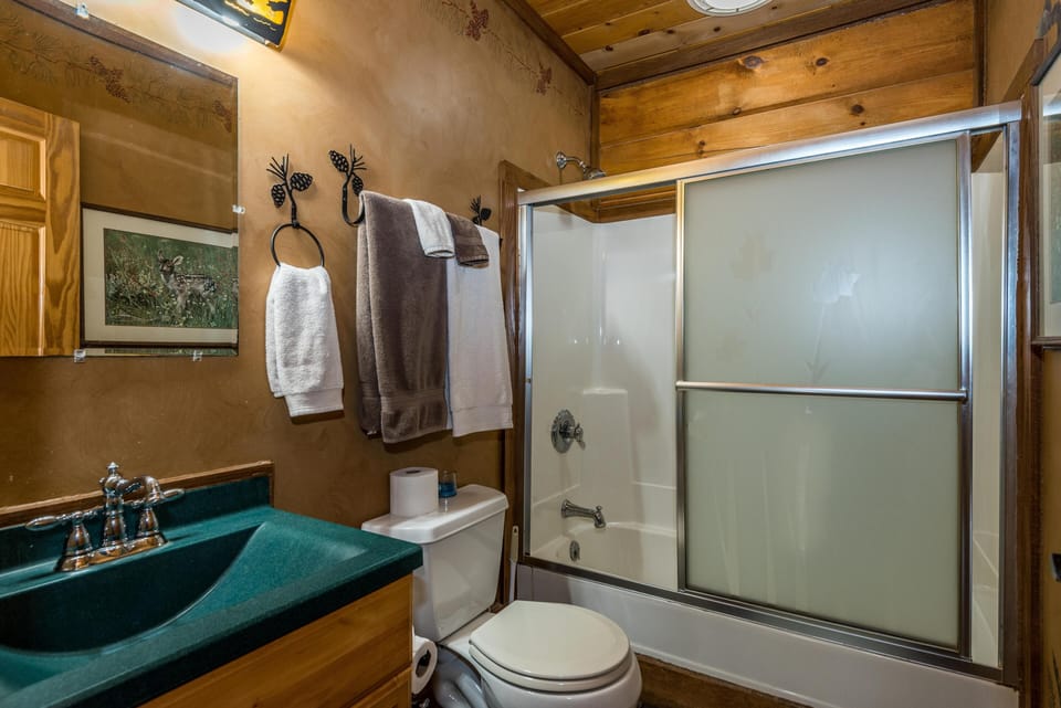 Bathroom with green countertop sink, wood cabinetry, frosted glass shower doors, and pinecone towel hooks.