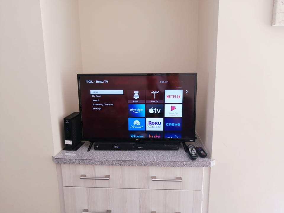 Smart TV with Netflix