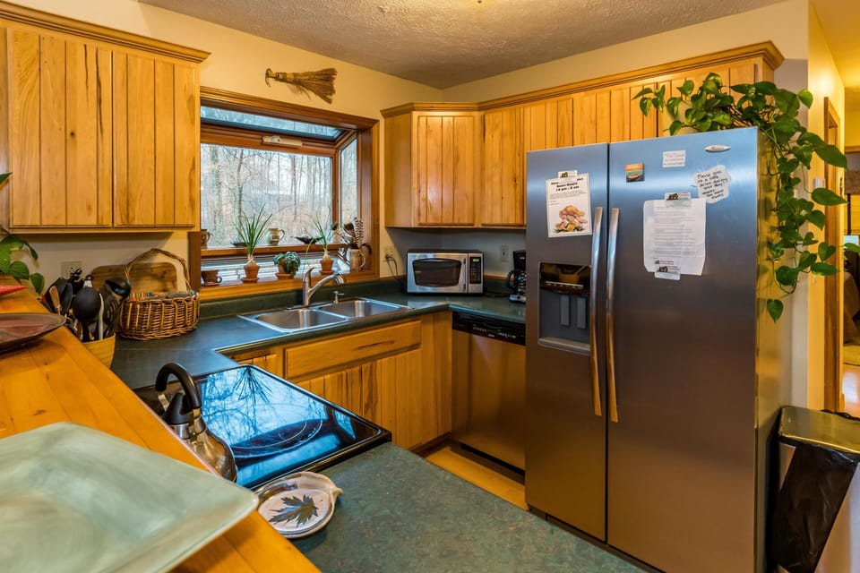 Kitchen with honey-toned wood cabinets, green laminate countertops, stainless steel appliances, and a window overlooking forest trees.