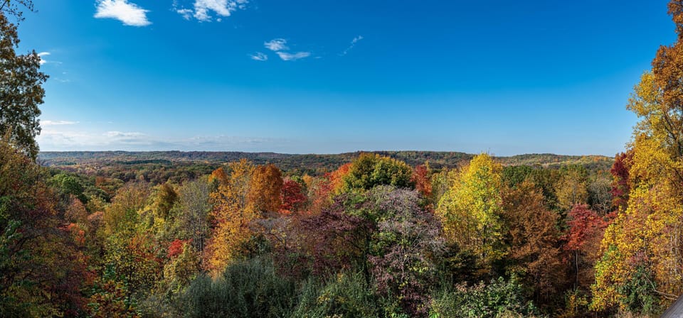 Panoramic autumn forest view from the balcony, showcasing vibrant foliage under a clear blue sky.