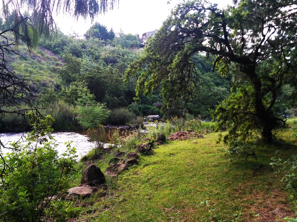 Lion's River on Otters Den