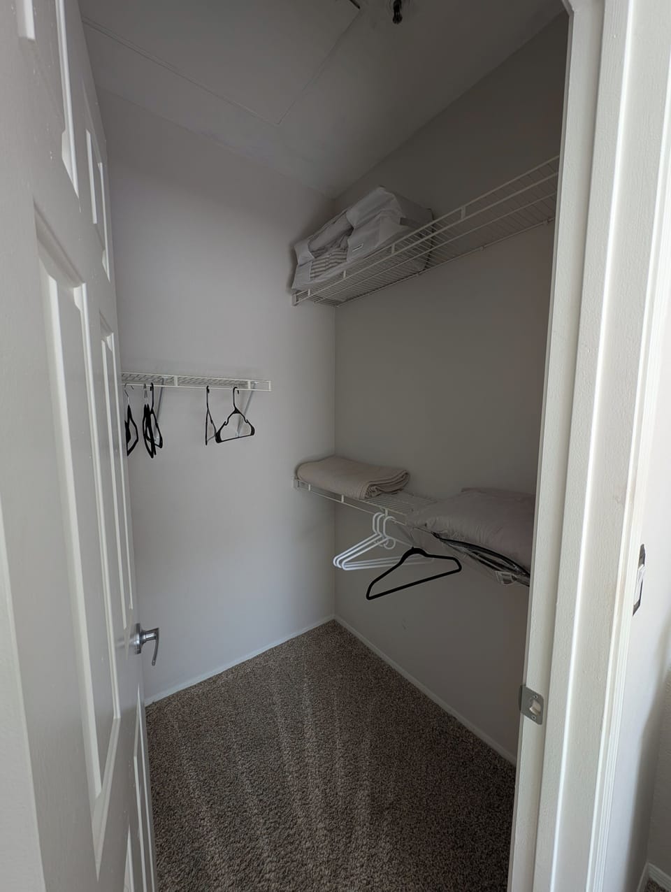 Guest Bedroom Walk-In Closet