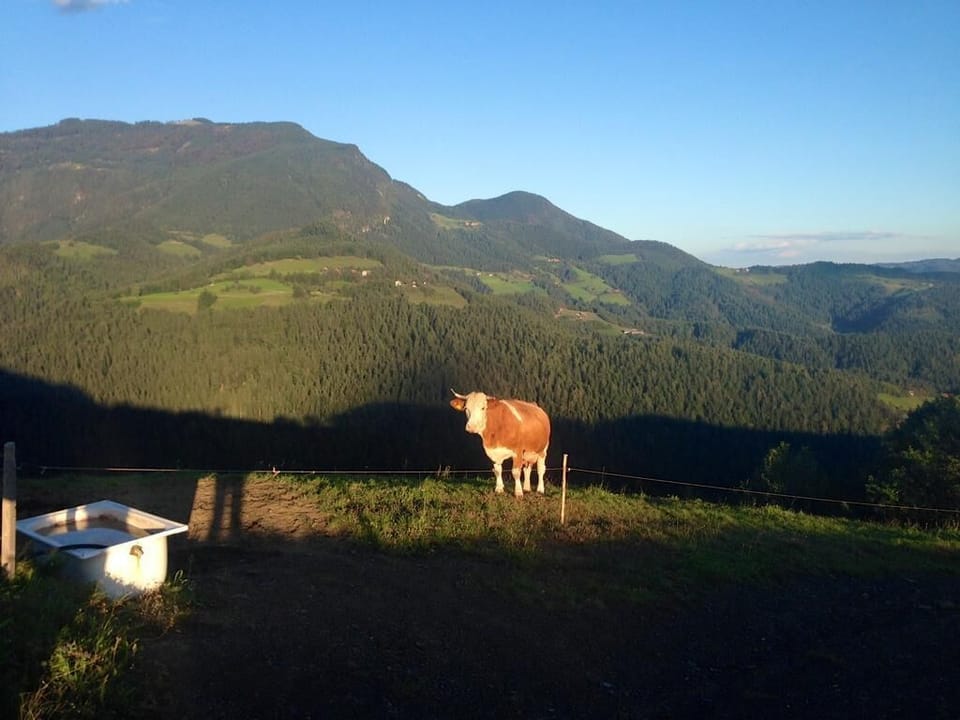 Nearby in the moutains