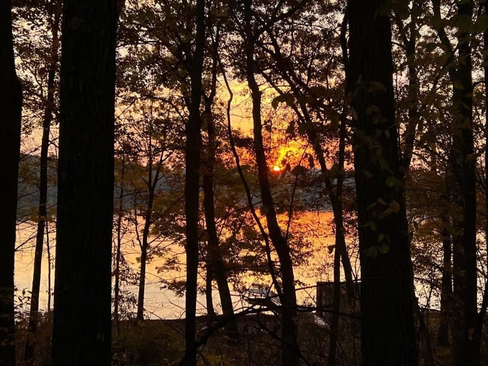 13675FF5-BD81-40F9-B2F7-7F29C6346DDE