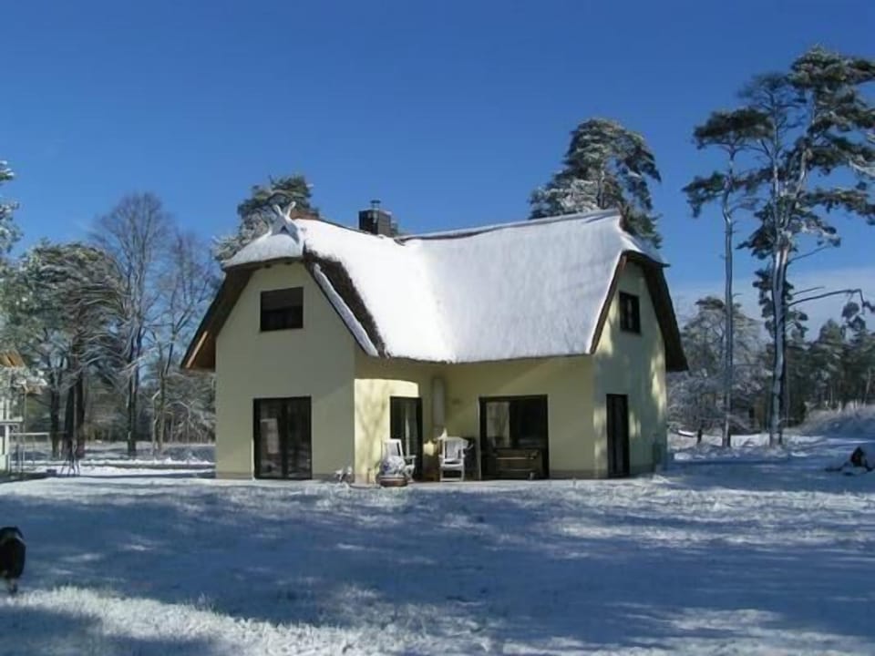 Wintertime