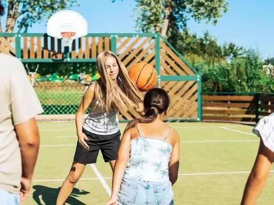 Sport court