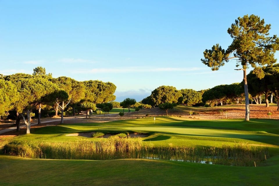 Golf course (There are 6 golf course nearby)