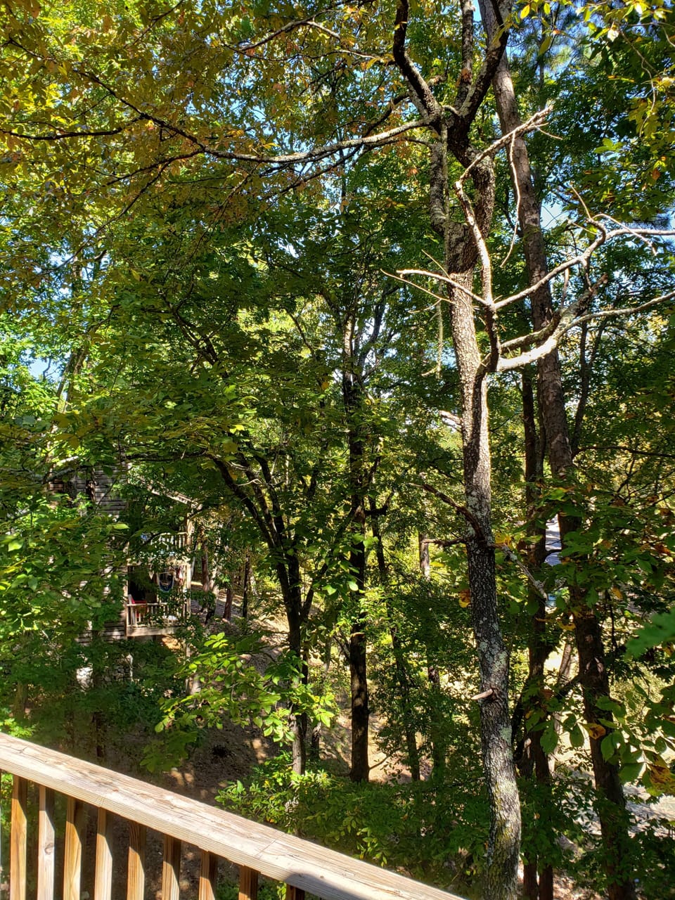 View from property