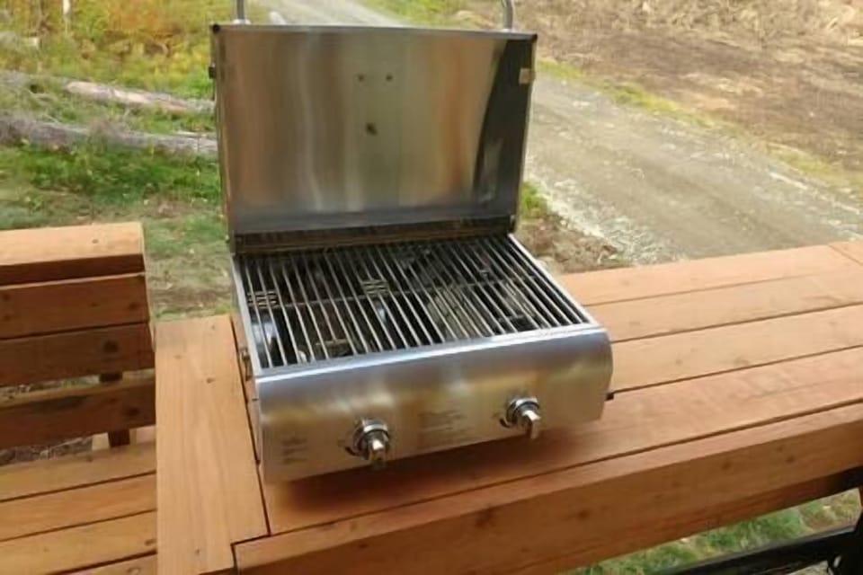 Gas grill
