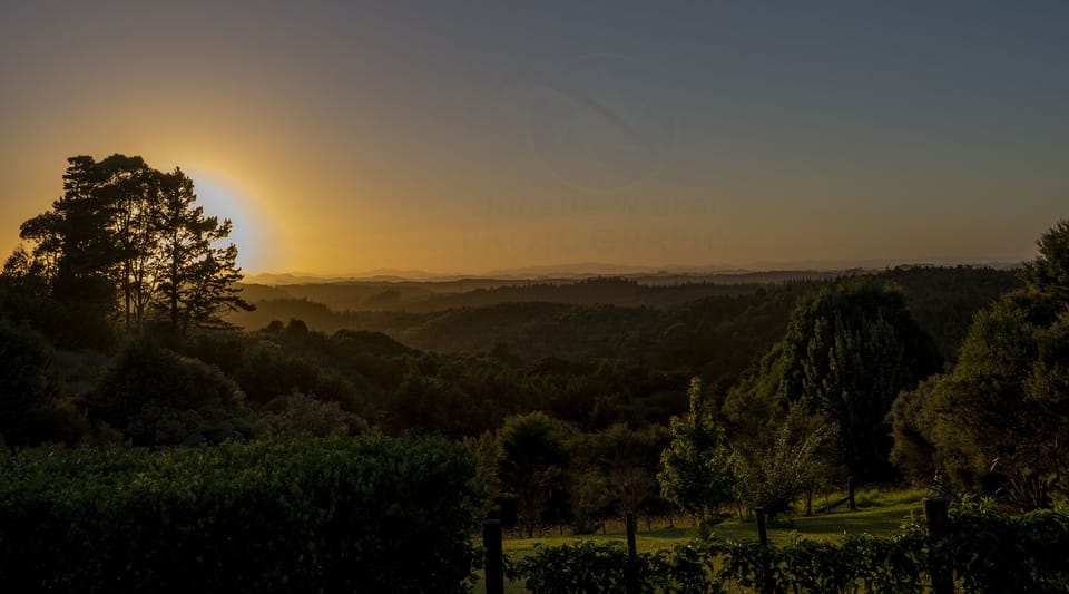 Sunrise at Burdys Nest