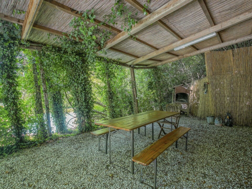 Plant, Table, Wood, Shade, Chair, Botany, Outdoor Furniture, Outdoor Bench, Outdoor Table, Tree