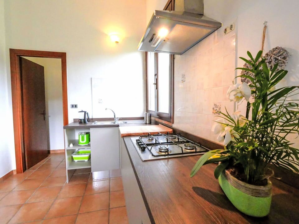 Kitchen, Kitchen Appliance, Countertop, Flooring, Interior Design, Wood, Major Appliance, Kitchen Stove, Kitchen Sink, Floor