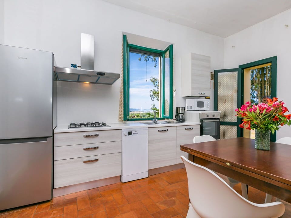 Cabinetry, Furniture, Property, Countertop, Plant, Flowerpot, Sink, Flower, Kitchen, Interior Design