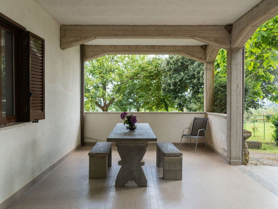 Plant, Window, Shade, Interior Design, Tree, Wood, Real Estate, Flooring, Tints And Shades, Building