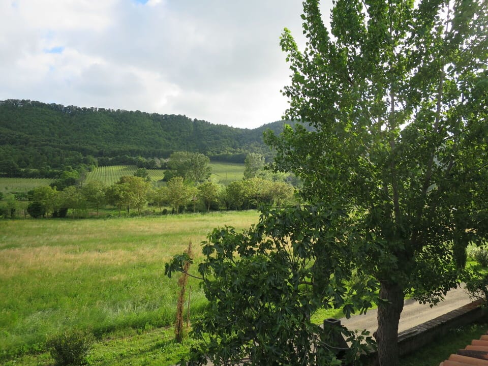 Swimming Pool, Farmhouse, Estate, Villa, Resort, Eco Hotel, Hacienda, Backyard
