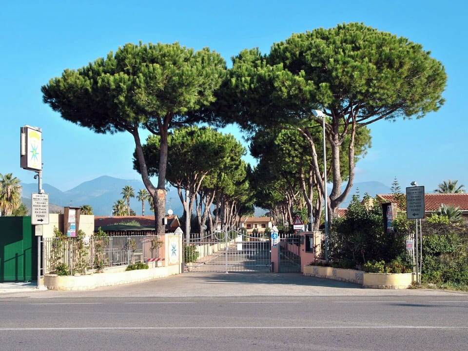 Shade, Woody Plant, Sidewalk, Walkway, Landscaping, Path