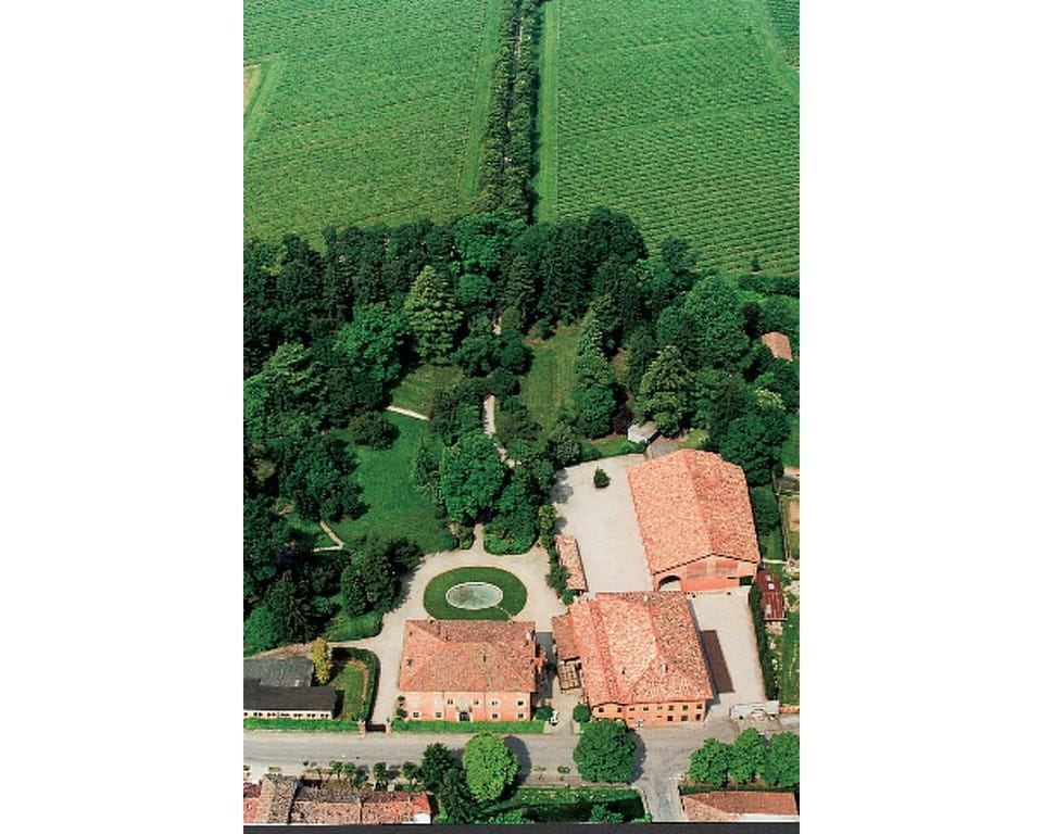 Plant, Green, Nature, Land Lot, Vegetation, Urban Design, Grass, Biome, Landscape, City