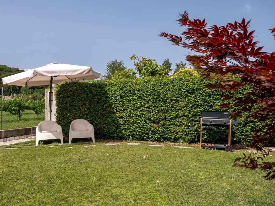Plant, Sky, Plant Community, Natural Landscape, Land Lot, Tree, Shade, Outdoor Furniture, Grass, Landscape