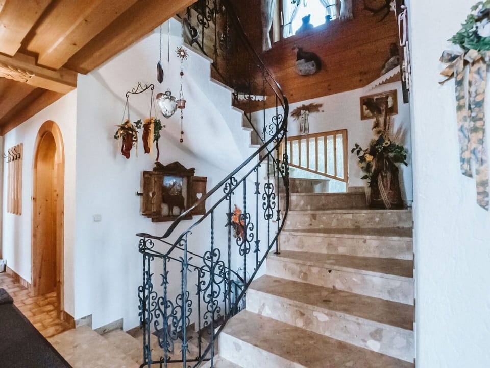 Plant, Building, Stairs, Wood, Window, Houseplant, Flowerpot, Real Estate, House