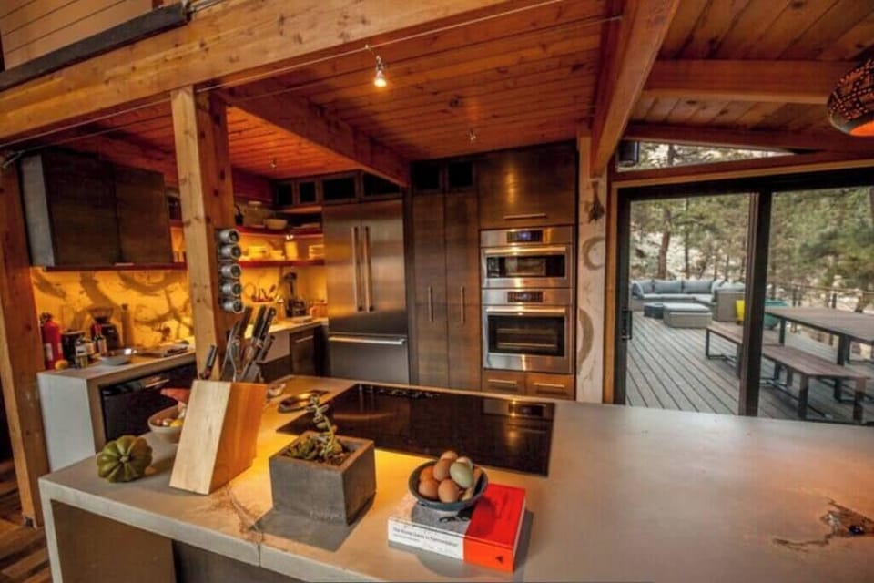 Professional kitchen with induction cook top, convection oven and concrete countertops/