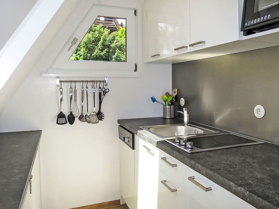 Kitchen, Countertop, Kitchen Appliance, Kitchen Sink, Major Appliance, Wood, Interior Design, Plumbing Fixture, Flooring, Cabinetry