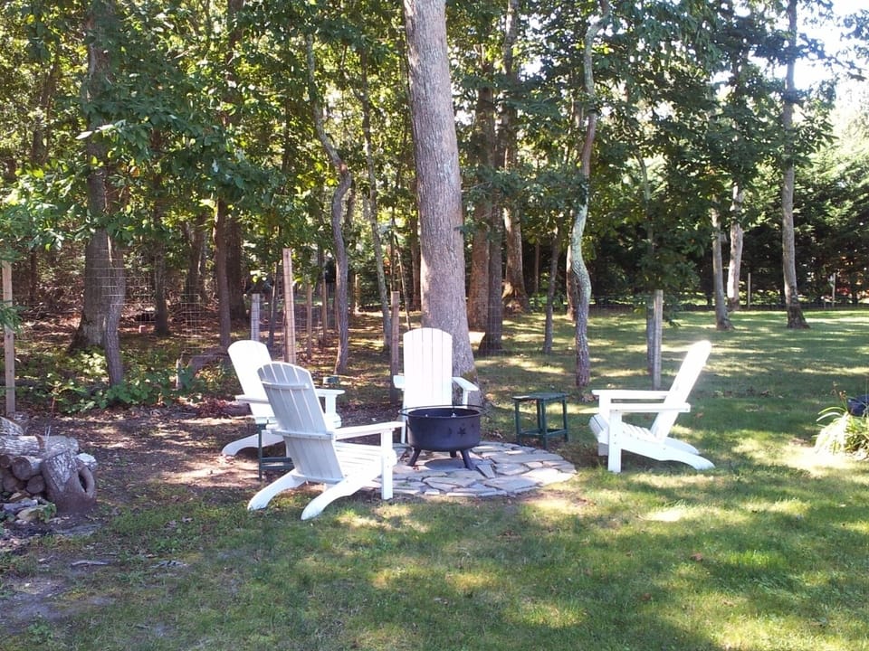 Fire-pit in back yard.