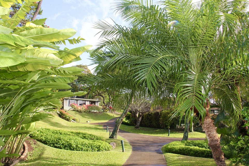 Cottage with ocean view on front side and golf course on the back side. Privacy