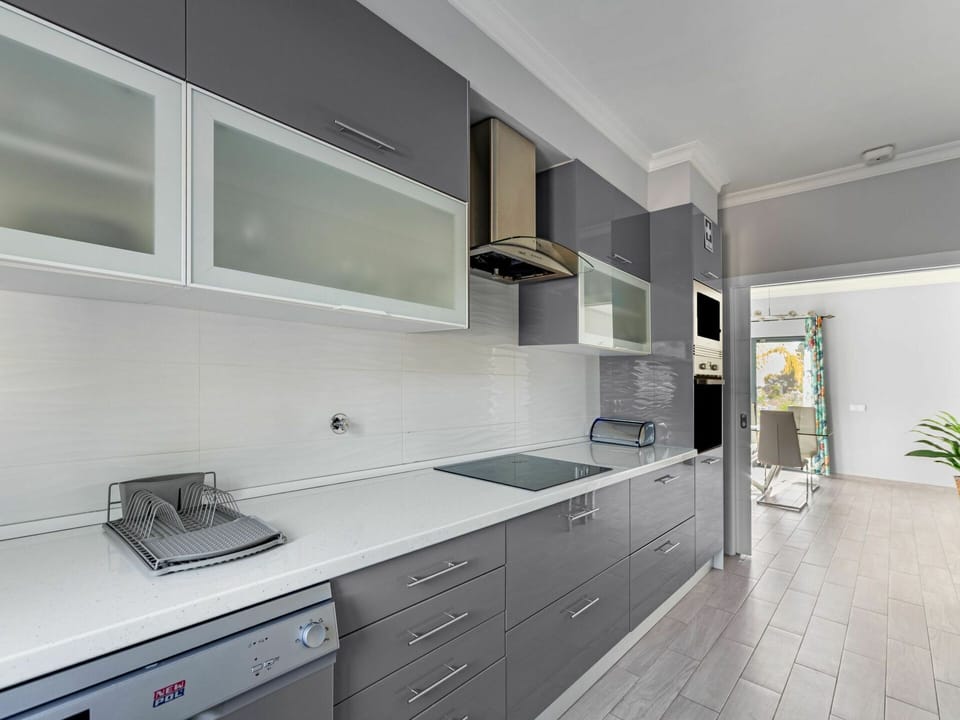Countertop, Cabinetry, Building, Property, Furniture, Kitchen Stove, Kitchen, Drawer, Flowerpot, Plant
