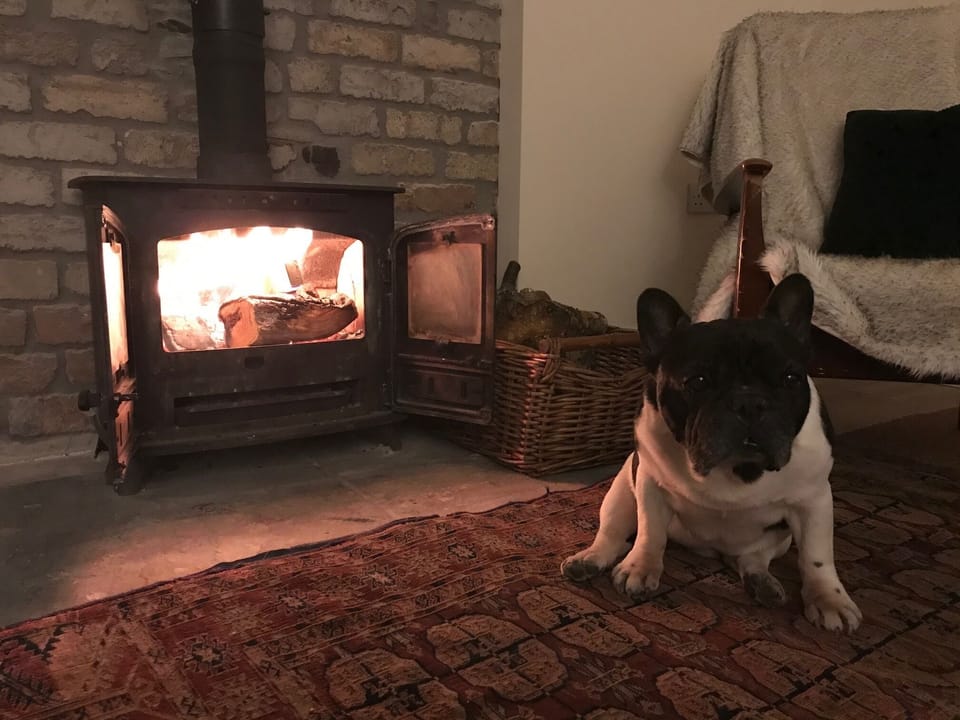 Wood burner in living room