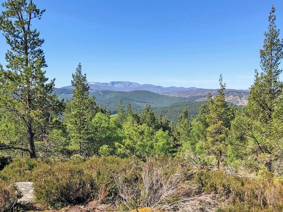 View from the top of Craigendarroch Hill | Craigclunie, Ballater