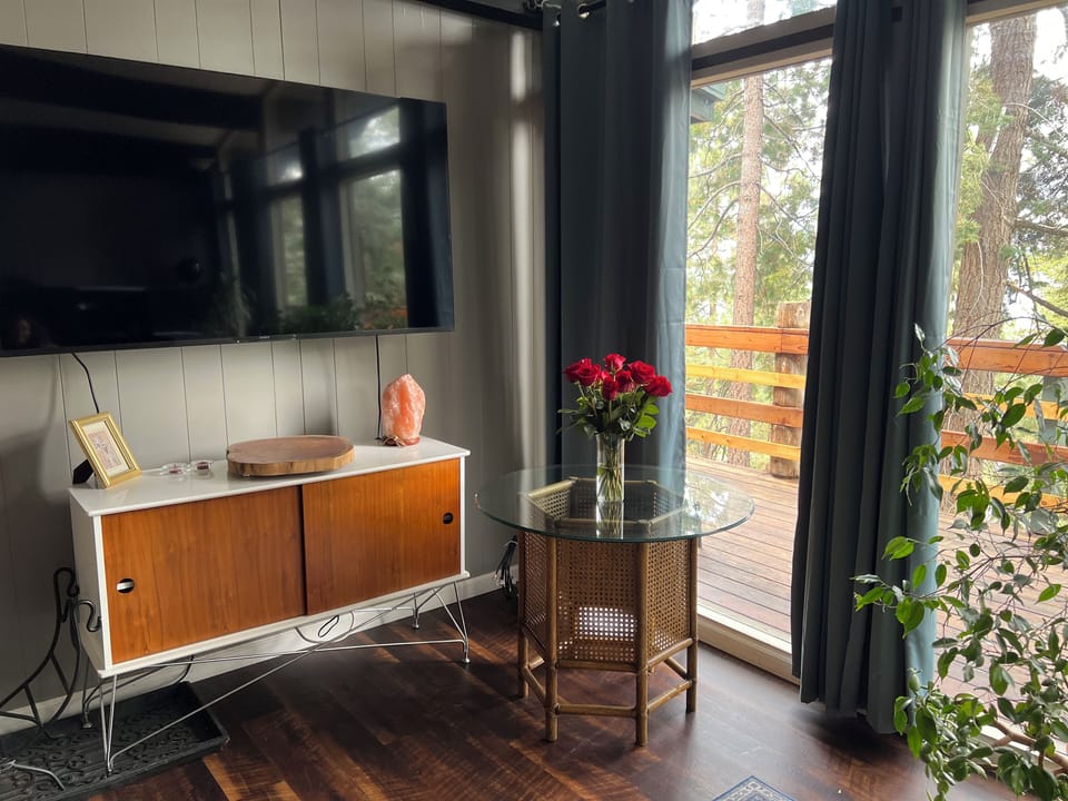 Living Room with Smart TV (no cable)