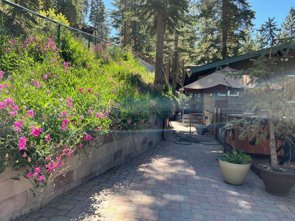 Paved entrance