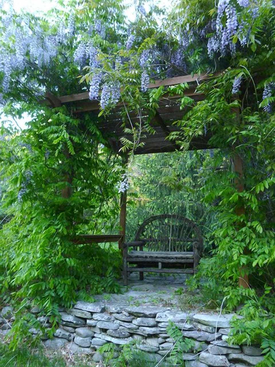Relax under the shady arbor covered in wisteria vines. 