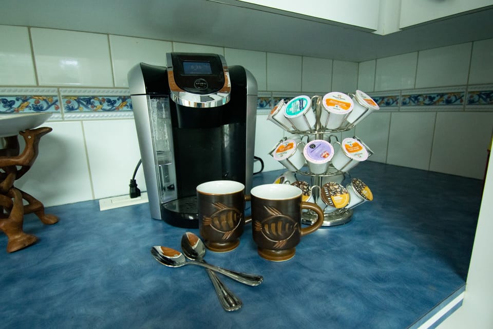Kitchen with all of the essentials.