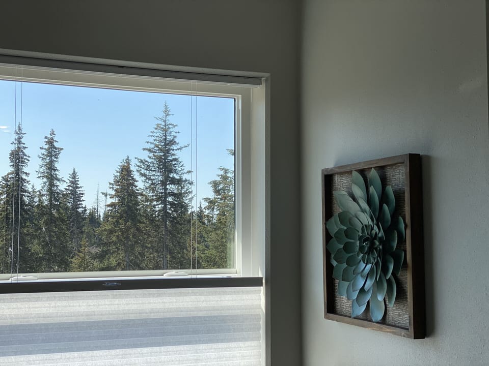 Master bath has up/down shade for privacy 