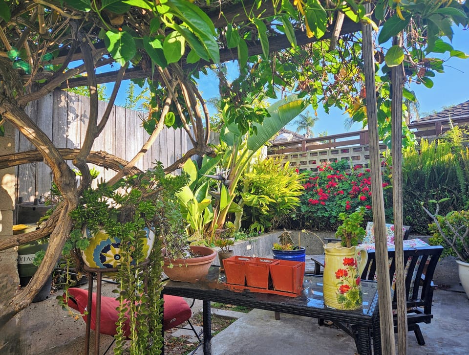 Terrace/patio