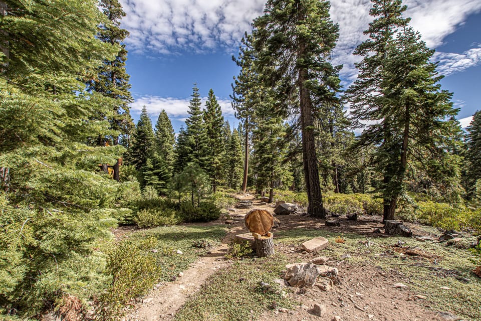 Little Bear Cabin Exterior Land - Little Bear Cabin Exterior Land