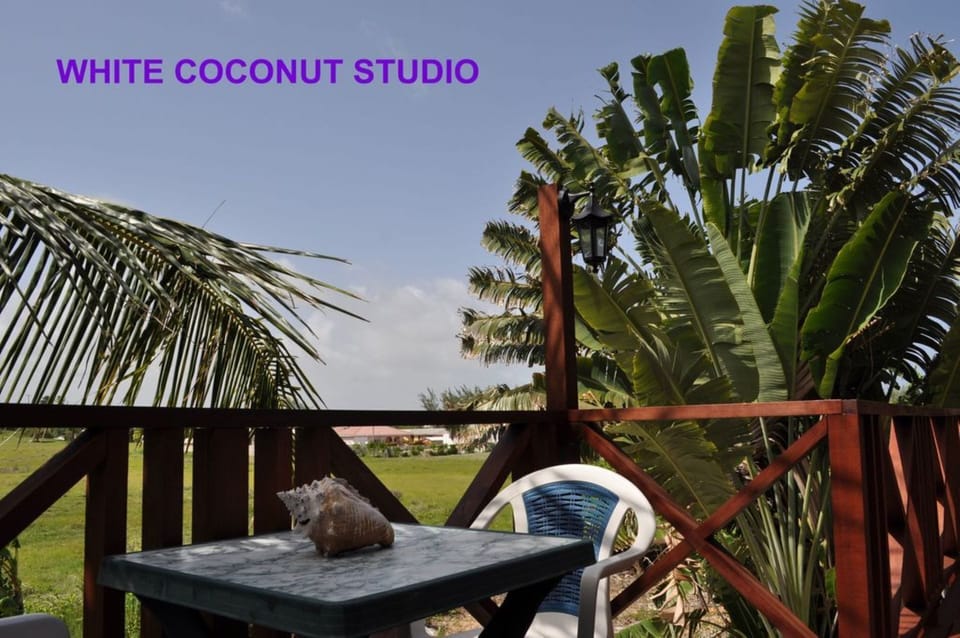 White Coconut Studio - Deck & Garden view