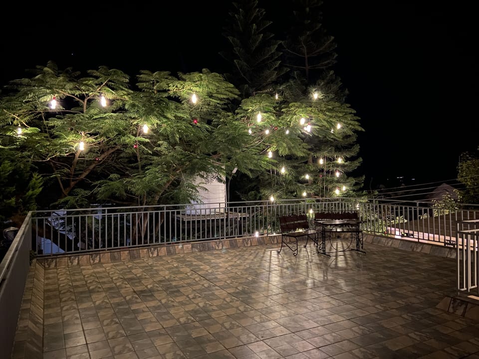 Christmas Decorations on Xmas Tress. Unique Decoration of Fairy Lights in Bottle