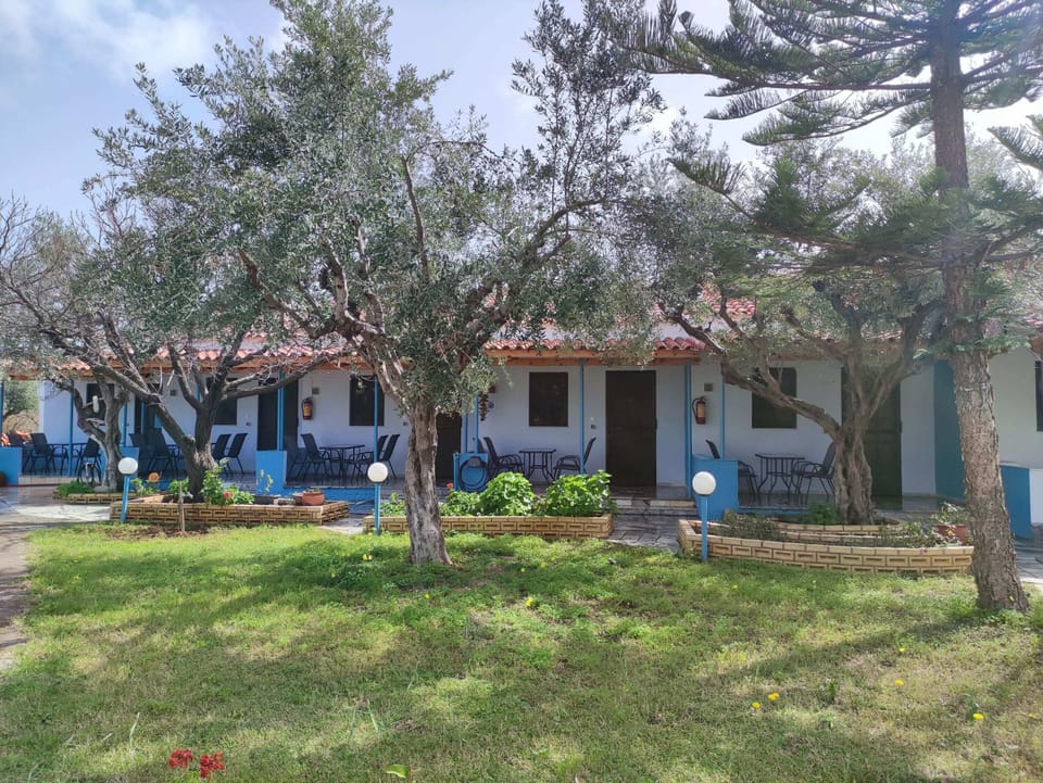 Exterior of the Property Among Olive Trees – Traditional Greek charm surrounded by nature.