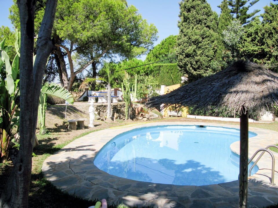 Water, Plant, Property, Sky, Nature, Tree, Shade, Swimming Pool, Land Lot, Arecales