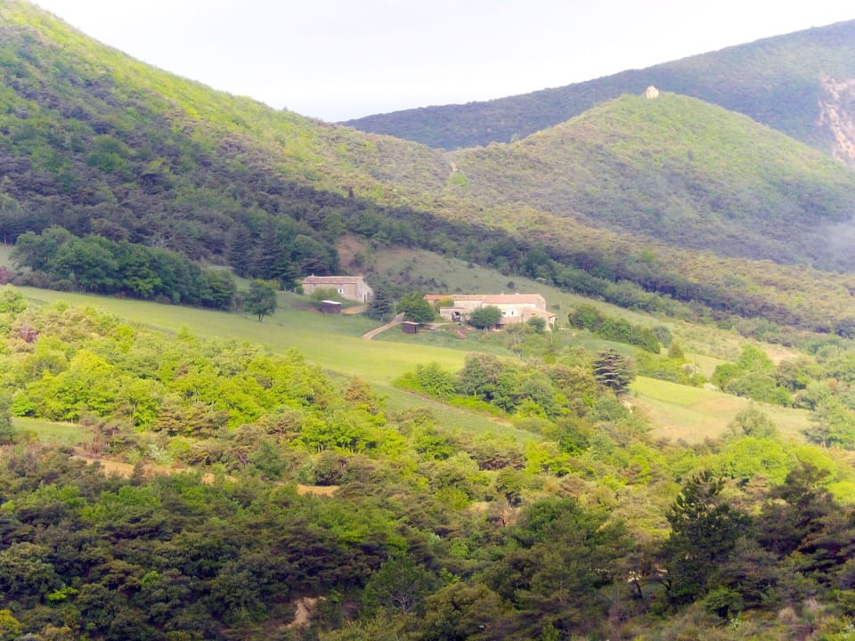 Plant, Mountain, Sky, Plant Community, Ecoregion, Natural Landscape, Slope, Natural Environment, Land Lot, Highland