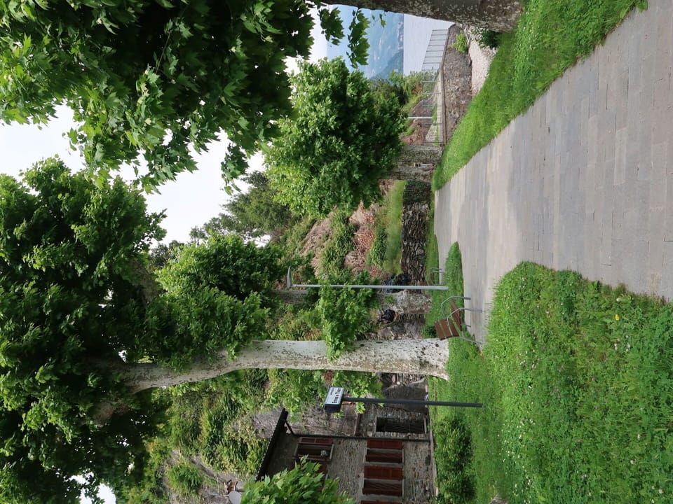 Plant, Property, Building, Tree, Sky, Vegetation, House, Biome, Grass, Woody Plant